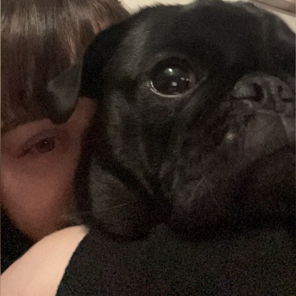 Meet your Posher, Amber - Picture 2 of 5